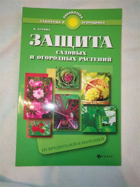 Защита от болезней и вредителей: советы садоводов