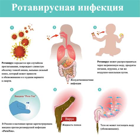 Защита от ротовирусной инфекции