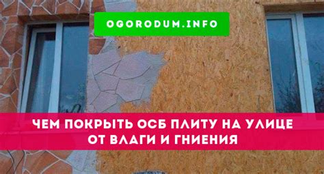 Защита OSB от влаги и гниения: оптимальные способы