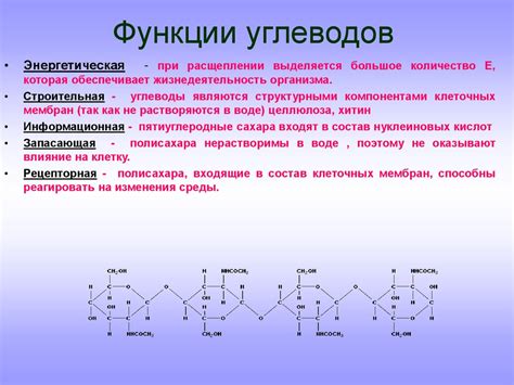 Защитная функция и силуэтное оформление