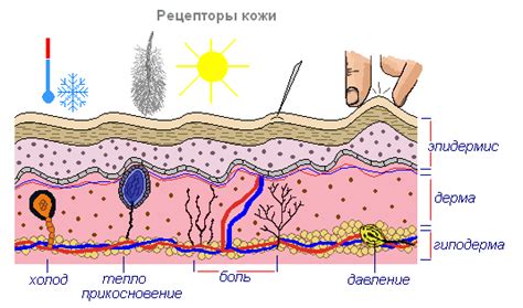 Защитная функция перемычки