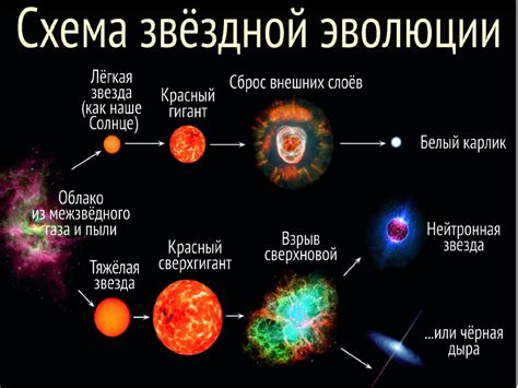 Звезды: изучение созвездий и их строение