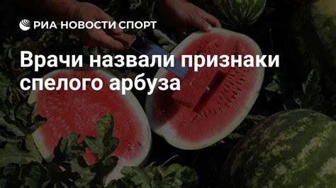 Звуковые характеристики спелого арбуза: