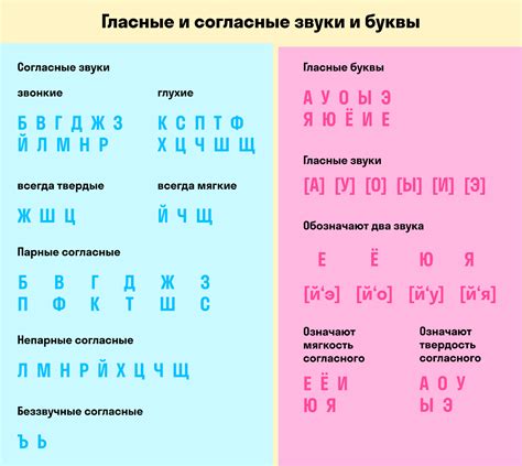 Звучные и глухие согласные: что это такое и как определить их в русском языке