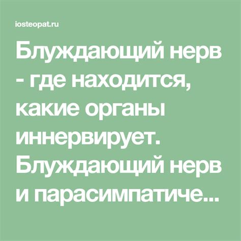 Здоровая нервная система: простые советы и упражнения для улучшения работы