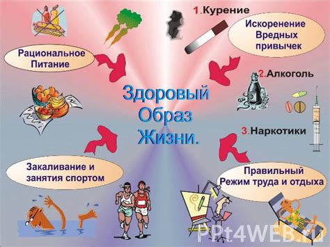 Здоровый образ жизни и восстановление мозговой активности