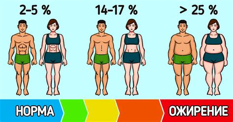 Здоровый образ жизни и процент жира на животе