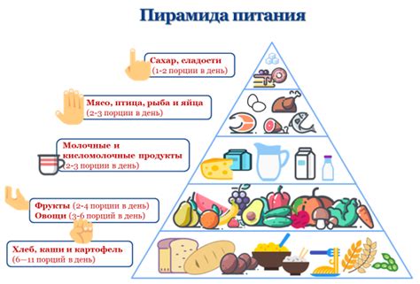 Здоровый пищевой рацион для дроздов