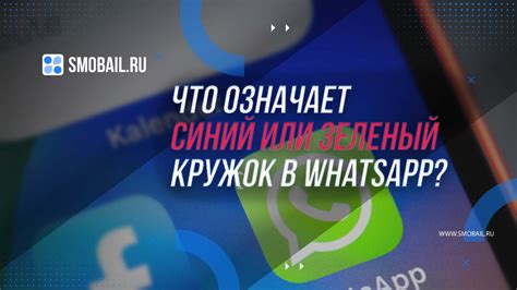 Зеленый кружок в WhatsApp: его значение и функциональность