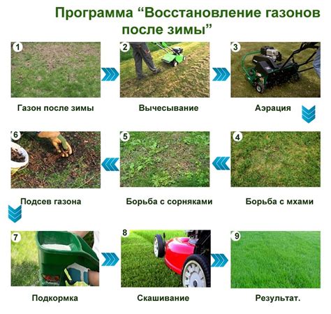 Зимний уход за газоном: необходимые процедуры