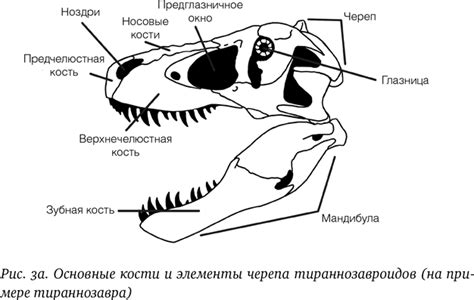 Знакомство с анатомией автомобиля