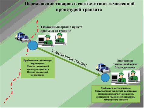 Знакомство с процедурой таможенного оформления