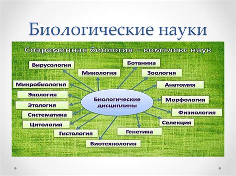 Значение биологии в научном и образовательном контексте