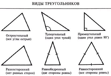 Значение высоты треугольника в геометрии