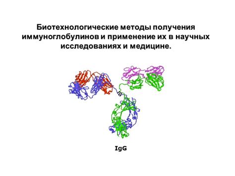 Значение гамет в научных исследованиях и медицине