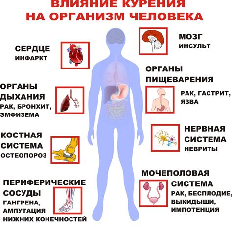 Значение гистамина для функционирования организма человека и его влияние на жизнедеятельность