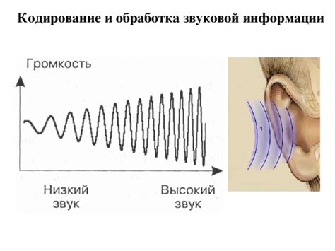 Значение глубины кодирования звука в информатике