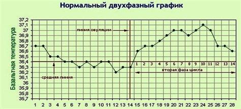 Значение графика базальной температуры для диагностики