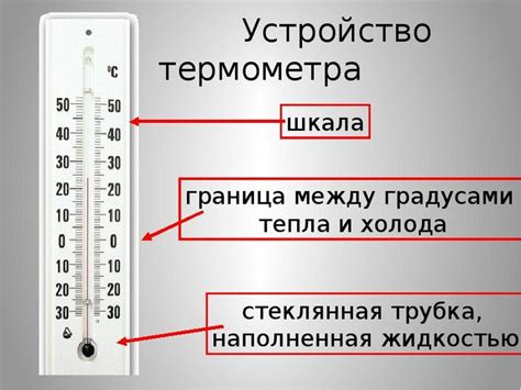 Значение делений на шкале термометра