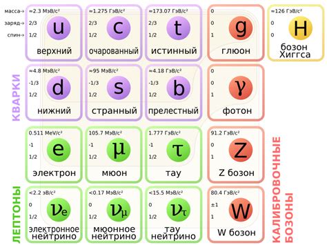 Значение для физики элементарных частиц