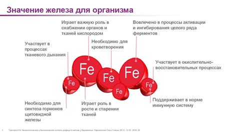 Значение железа для организма