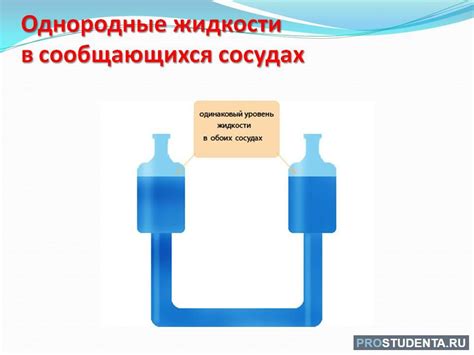 Значение закона сообщающихся сосудов для организма