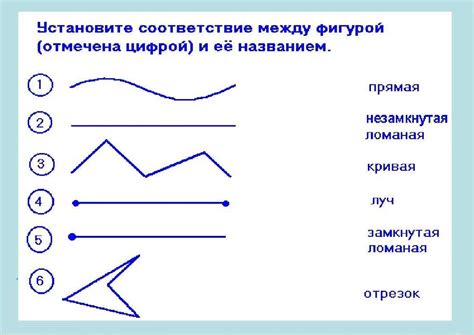 Значение и понятие длины ломаной