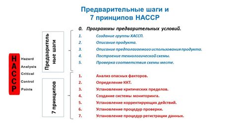 Значение и принципы внедрения ХАССП в детский сад