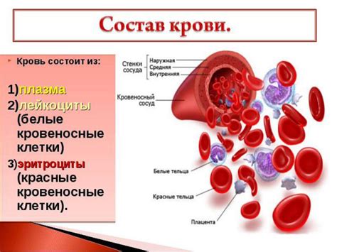 Значение крови в сновидении