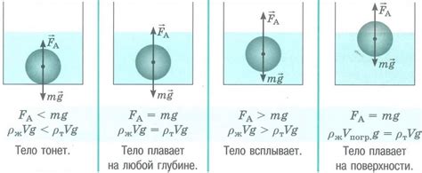 Значение массы тела в воде