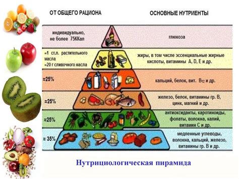 Значение питания для здоровья зрительного нерва