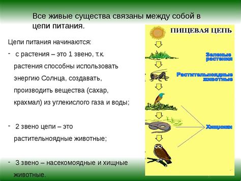 Значение плодоношения для экосистемы