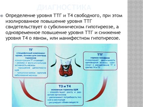 Значение повышенного уровня Т4 и ТТГ