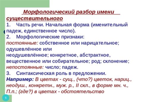 Значение постоянных признаков в морфологическом разборе: