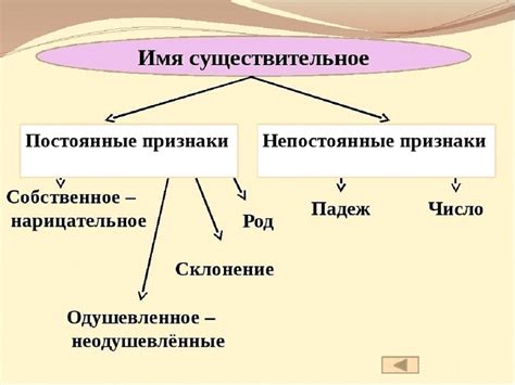 Значение постоянных признаков в понимании существительных