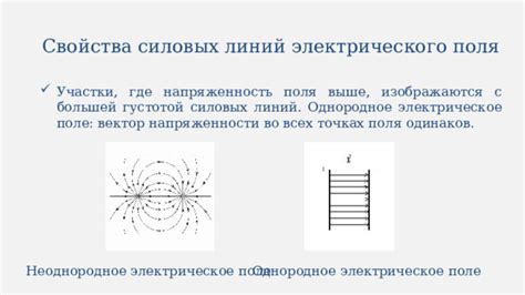 Значение силовых линий электрического поля