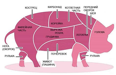 Значение снов о приобретении свежего мяса свинины