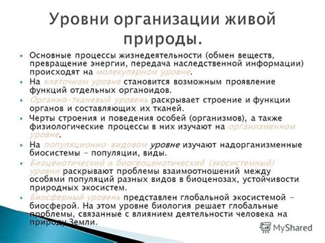 Значение типа организации