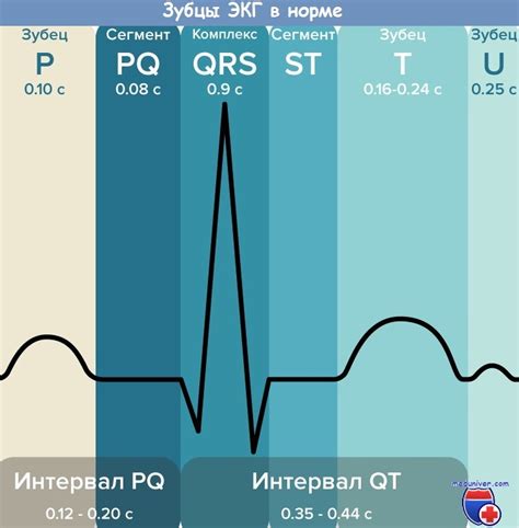 Значение функций ЭКГ