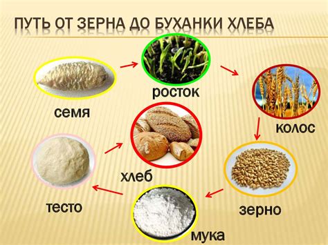 Значение хлебного зерна в современной символике