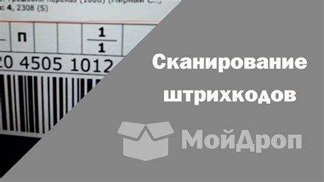 Значение штрихкодов в формировании базы товаров