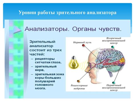 Зрительная проверка