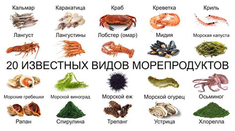 Идеальные морепродукты для начинки