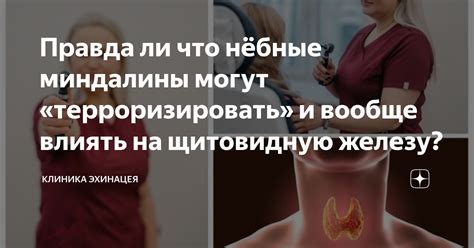 Избегайте вредных воздействий на щитовидную железу