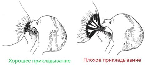 Избегание излишней силы при прикладывании ребенка