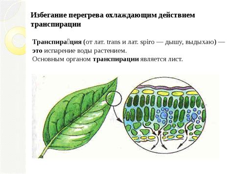 Избегание перегрева дисплея