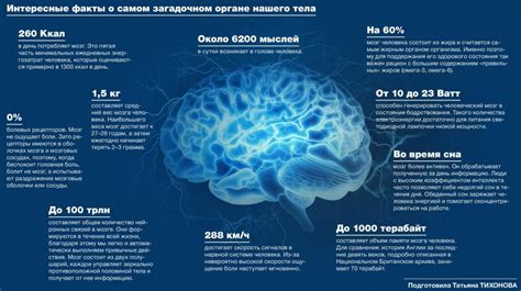 Избегание плохих привычек для сохранения сосудов головного мозга