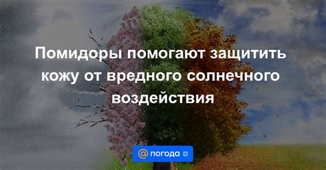 Избегание солнечного воздействия