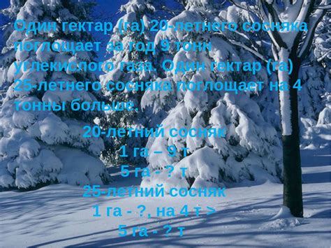 Известно, что гектар 20-летнего сосняка поглощает СО2 и влияет на окружающую среду