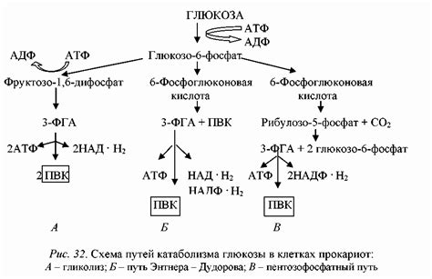 Известные хиты и творческий путь Глюкозы